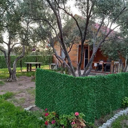 Feriehus Bungalow With Garden And Air Conditioning, 150m To The Sea In Bademli, Sleeps 6 Dikili